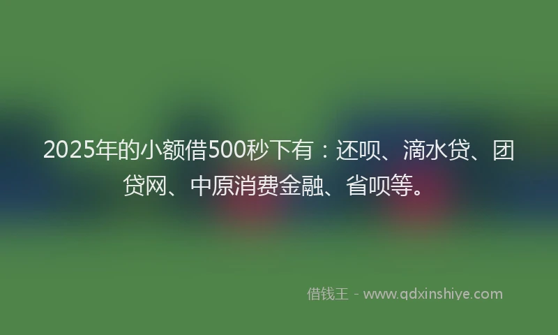 2025年的小额借500秒下有：还呗、滴水贷、团贷网、中原消费金融、省呗等。