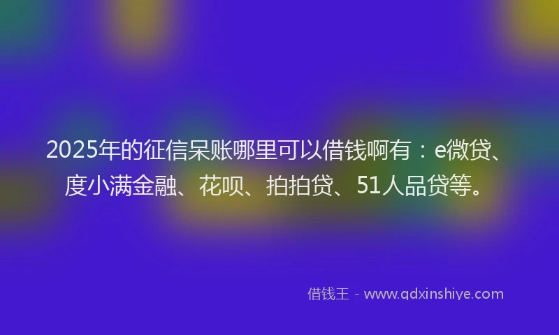 2025年的征信呆账哪里可以借钱啊有：e微贷、度小满金融、花呗、拍拍贷、51人品贷等。