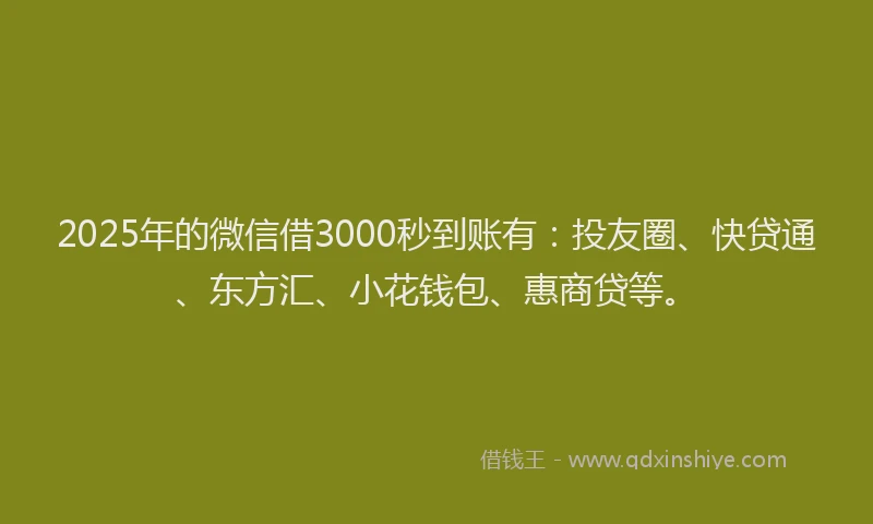 2025年的微信借3000秒到账有：投友圈、快贷通、东方汇、小花钱包、惠商贷等。