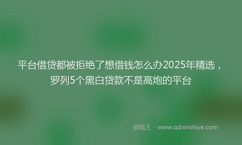 平台借贷都被拒绝了想借钱怎么办2025年精选，罗列5个黑白贷款不是高炮的平台