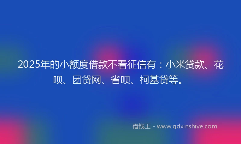 2025年的小额度借款不看征信有：小米贷款、花呗、团贷网、省呗、柯基贷等。