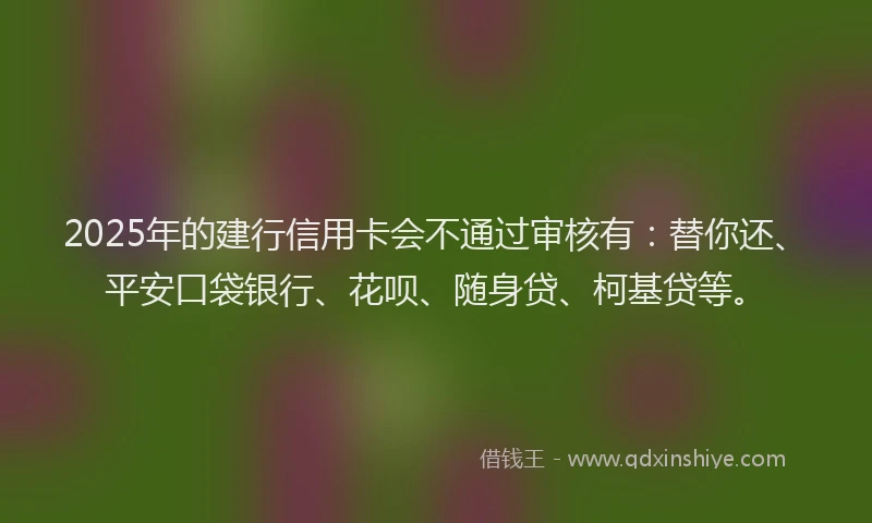 2025年的建行信用卡会不通过审核有：替你还、平安口袋银行、花呗、随身贷、柯基贷等。