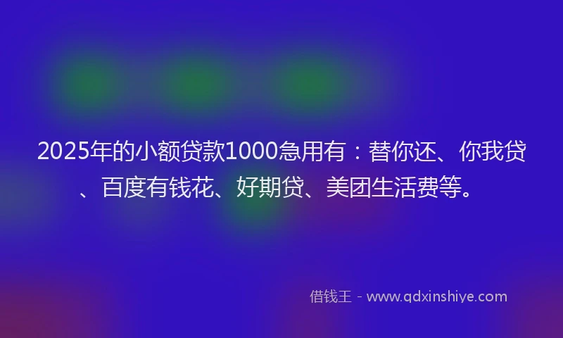 2025年的小额贷款1000急用有：替你还、你我贷、百度有钱花、好期贷、美团生活费等。