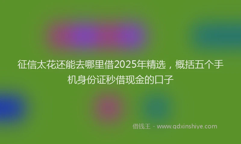 征信太花还能去哪里借2025年精选，概括五个手机身份证秒借现金的口子
