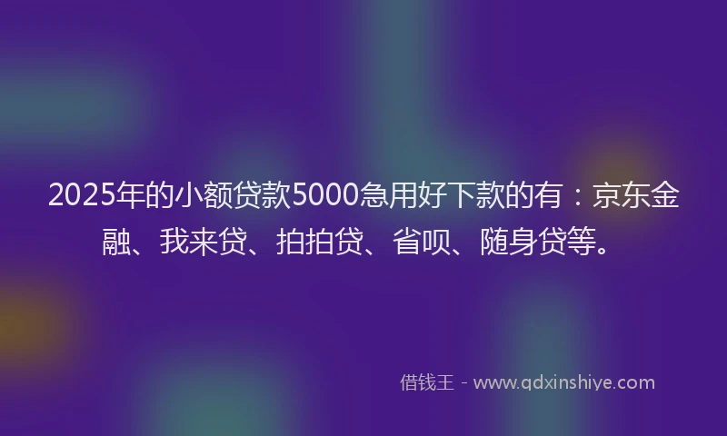 2025年的小额贷款5000急用好下款的有：京东金融、我来贷、拍拍贷、省呗、随身贷等。