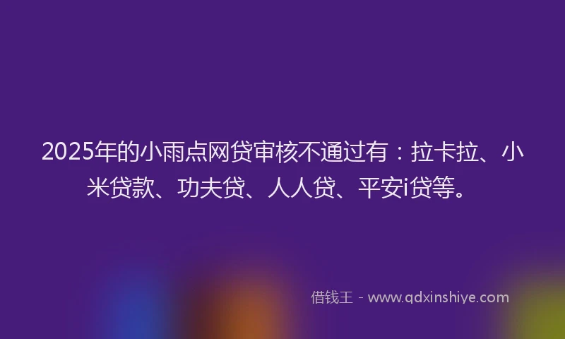 2025年的小雨点网贷审核不通过有：拉卡拉、小米贷款、功夫贷、人人贷、平安i贷等。