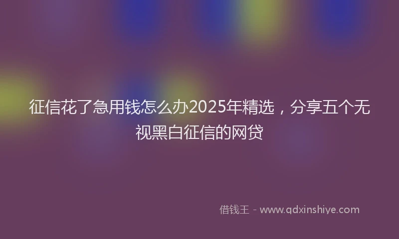 征信花了急用钱怎么办2025年精选，分享五个无视黑白征信的网贷