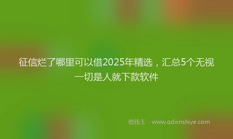 征信烂了哪里可以借2025年精选，汇总5个无视一切是人就下款软件