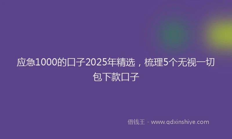 应急1000的口子2025年精选，梳理5个无视一切包下款口子