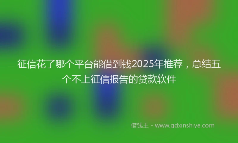 征信花了哪个平台能借到钱2025年推荐，总结五个不上征信报告的贷款软件