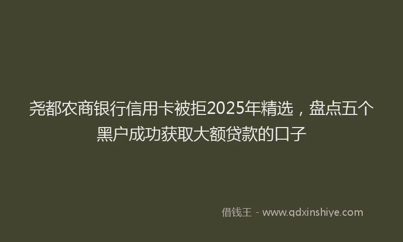 尧都农商银行信用卡被拒2025年精选，盘点五个黑户成功获取大额贷款的口子
