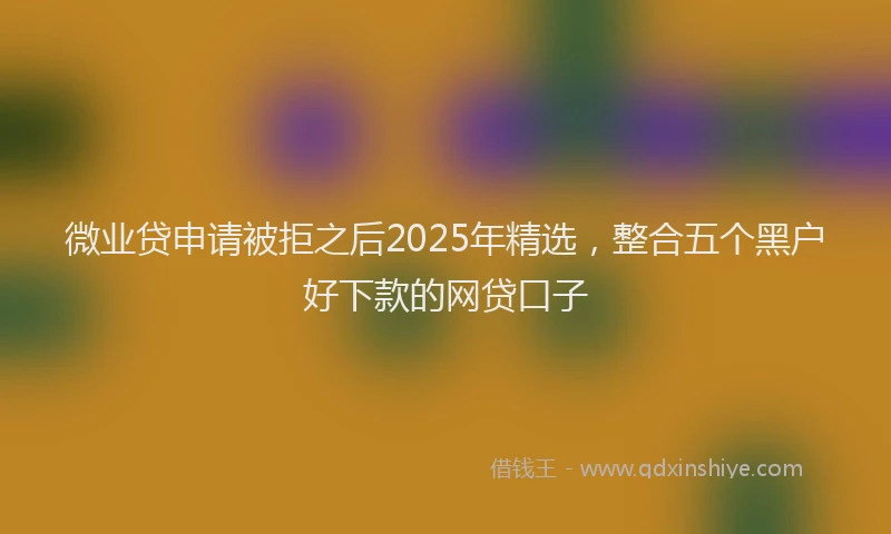 微业贷申请被拒之后2025年精选，整合五个黑户好下款的网贷口子