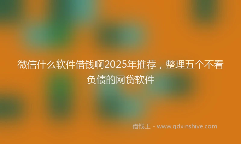 微信什么软件借钱啊2025年推荐，整理五个不看负债的网贷软件