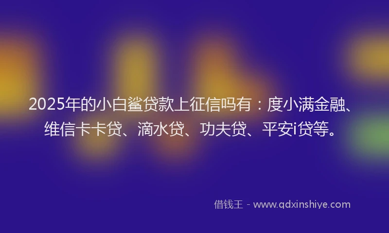 2025年的小白鲨贷款上征信吗有：度小满金融、维信卡卡贷、滴水贷、功夫贷、平安i贷等。