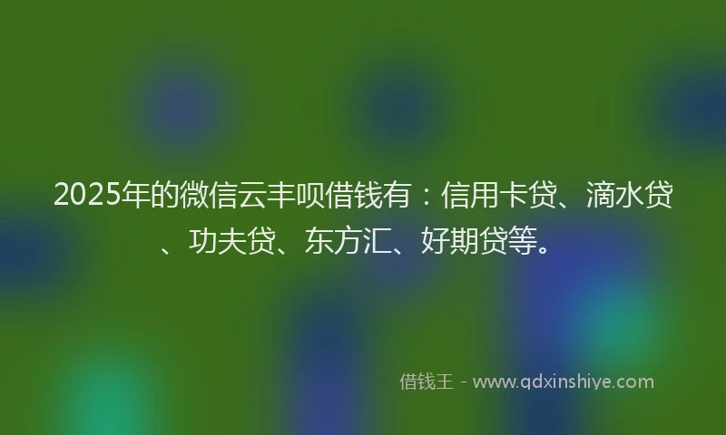 2025年的微信云丰呗借钱有：信用卡贷、滴水贷、功夫贷、东方汇、好期贷等。