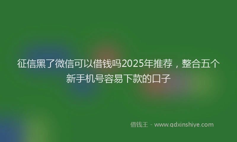 征信黑了微信可以借钱吗2025年推荐，整合五个新手机号容易下款的口子