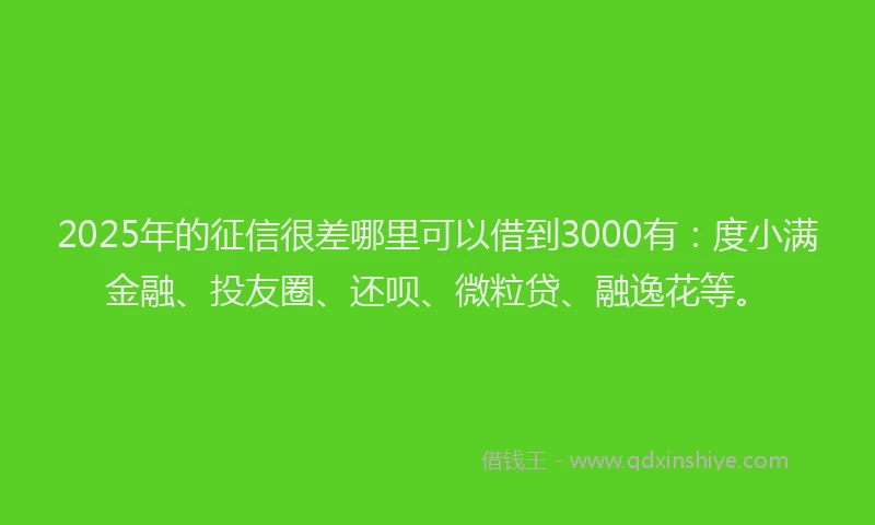 2025年的征信很差哪里可以借到3000有：度小满金融、投友圈、还呗、微粒贷、融逸花等。