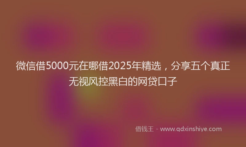 微信借5000元在哪借2025年精选，分享五个真正无视风控黑白的网贷口子