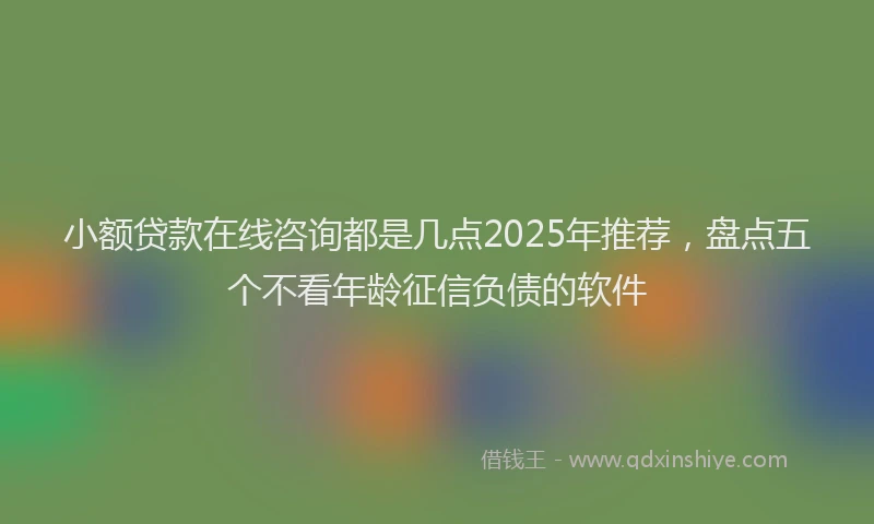 小额贷款在线咨询都是几点2025年推荐，盘点五个不看年龄征信负债的软件