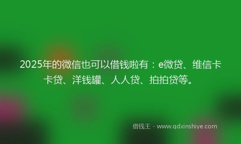 2025年的微信也可以借钱啦有：e微贷、维信卡卡贷、洋钱罐、人人贷、拍拍贷等。
