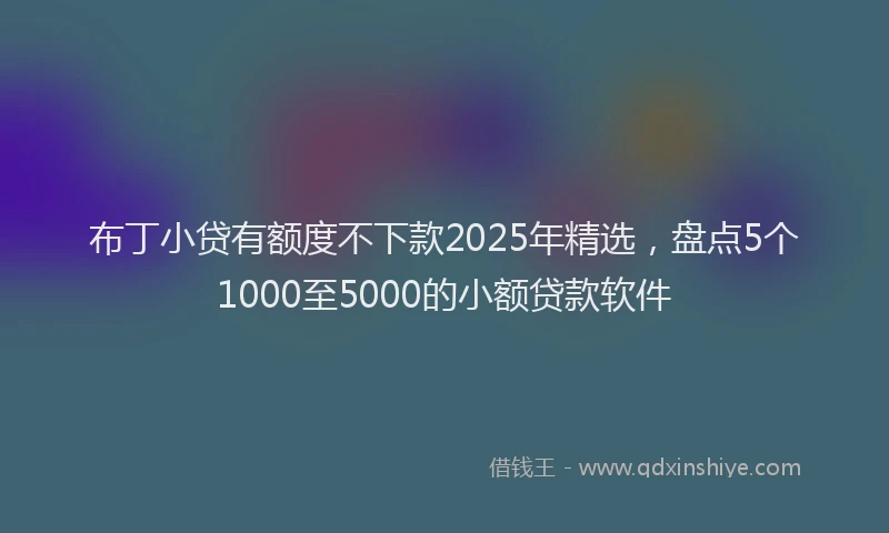 布丁小贷有额度不下款2025年精选，盘点5个1000至5000的小额贷款软件