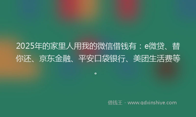 2025年的家里人用我的微信借钱有：e微贷、替你还、京东金融、平安口袋银行、美团生活费等。