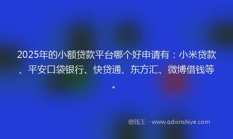 2025年的小额贷款平台哪个好申请有：小米贷款、平安口袋银行、快贷通、东方汇、微博借钱等。