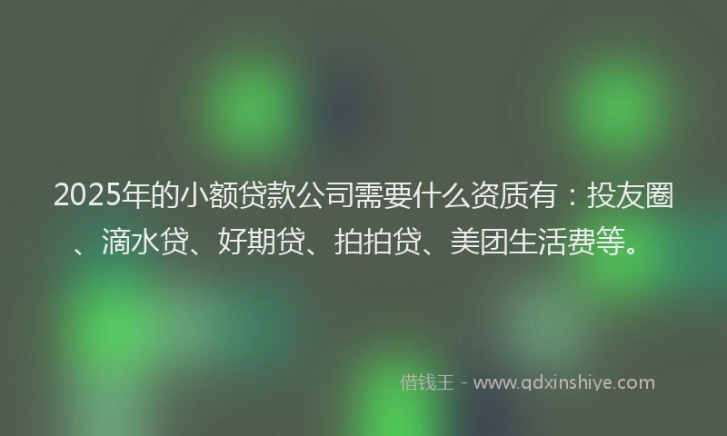 2025年的小额贷款公司需要什么资质有：投友圈、滴水贷、好期贷、拍拍贷、美团生活费等。
