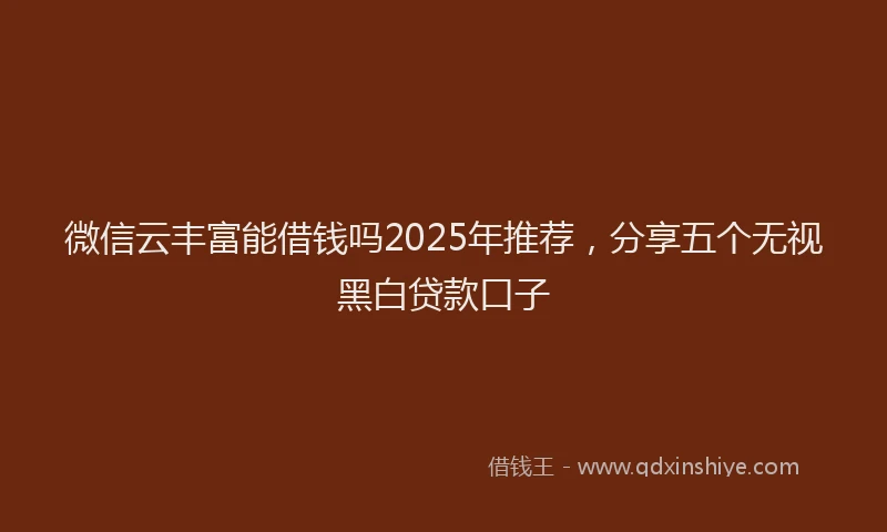 微信云丰富能借钱吗2025年推荐，分享五个无视黑白贷款口子