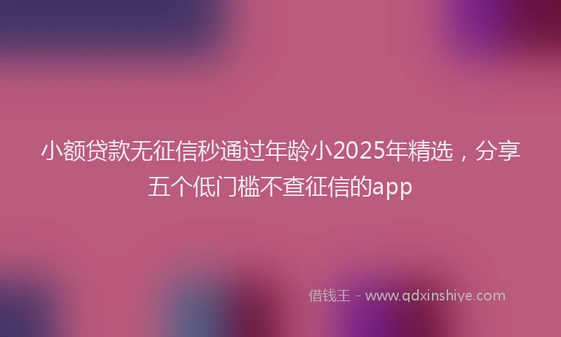 小额贷款无征信秒通过年龄小2025年精选，分享五个低门槛不查征信的app