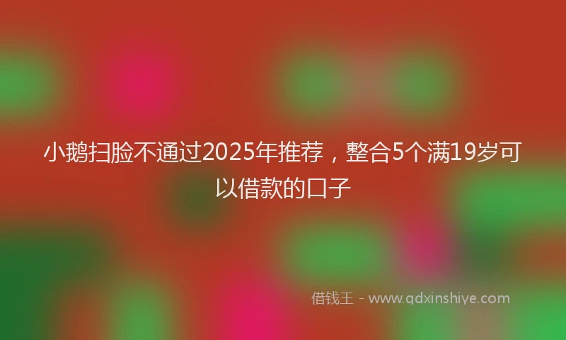 小鹅扫脸不通过2025年推荐，整合5个满19岁可以借款的口子
