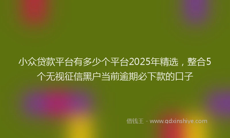 小众贷款平台有多少个平台2025年精选，整合5个无视征信黑户当前逾期必下款的口子