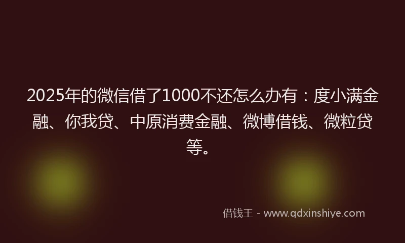 2025年的微信借了1000不还怎么办有：度小满金融、你我贷、中原消费金融、微博借钱、微粒贷等。