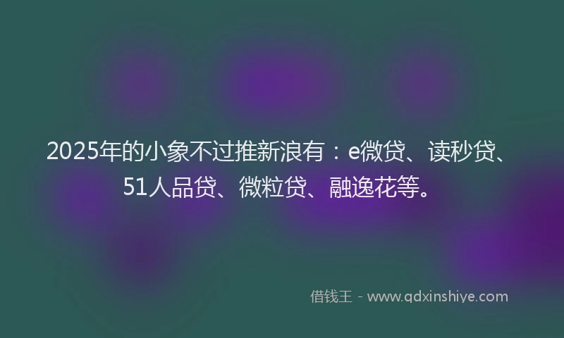 2025年的小象不过推新浪有：e微贷、读秒贷、51人品贷、微粒贷、融逸花等。