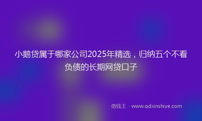 小鹅贷属于哪家公司2025年精选，归纳五个不看负债的长期网贷口子