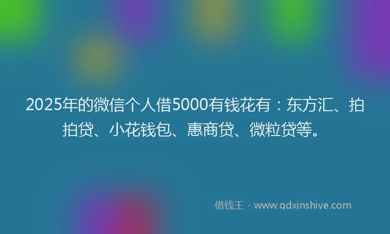 2025年的微信个人借5000有钱花有：东方汇、拍拍贷、小花钱包、惠商贷、微粒贷等。