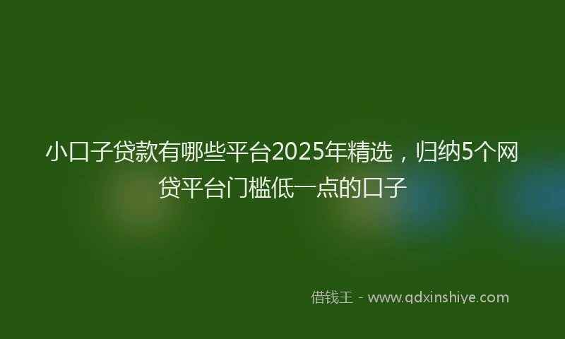 小口子贷款有哪些平台2025年精选，归纳5个网贷平台门槛低一点的口子