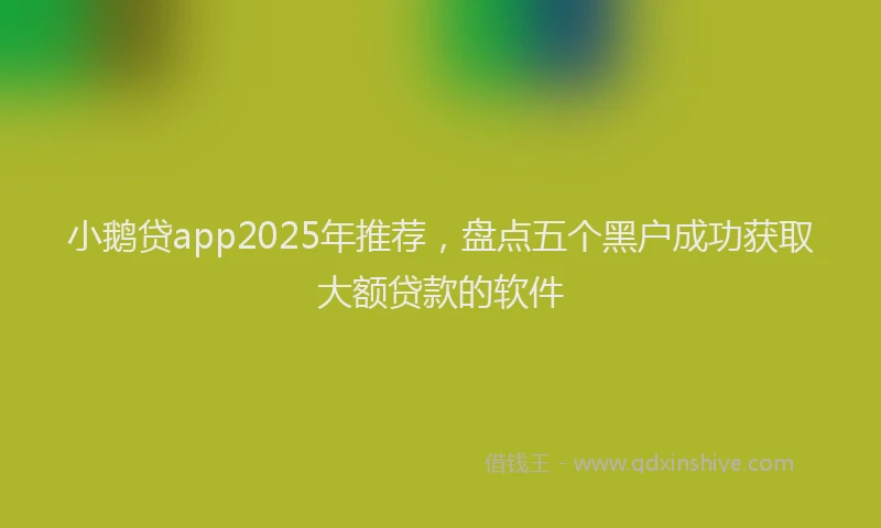 小鹅贷app2025年推荐，盘点五个黑户成功获取大额贷款的软件