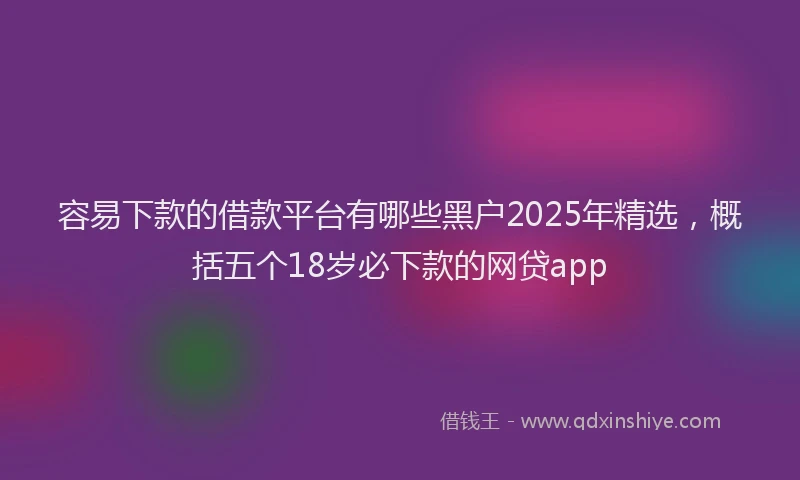 容易下款的借款平台有哪些黑户2025年精选，概括五个18岁必下款的网贷app