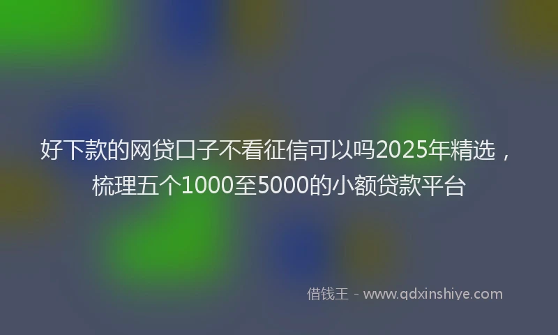 好下款的网贷口子不看征信可以吗2025年精选，梳理五个1000至5000的小额贷款平台