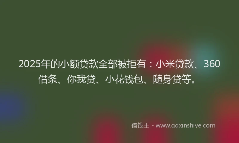 2025年的小额贷款全部被拒有：小米贷款、360借条、你我贷、小花钱包、随身贷等。