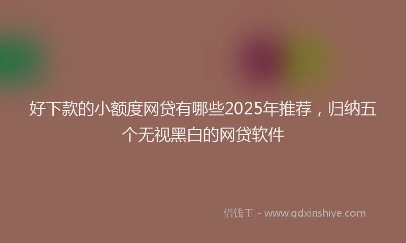 好下款的小额度网贷有哪些2025年推荐，归纳五个无视黑白的网贷软件