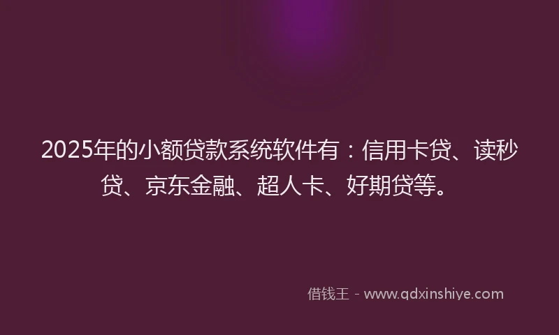 2025年的小额贷款系统软件有：信用卡贷、读秒贷、京东金融、超人卡、好期贷等。