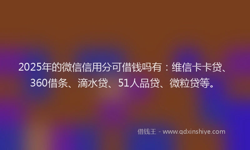 2025年的微信信用分可借钱吗有：维信卡卡贷、360借条、滴水贷、51人品贷、微粒贷等。