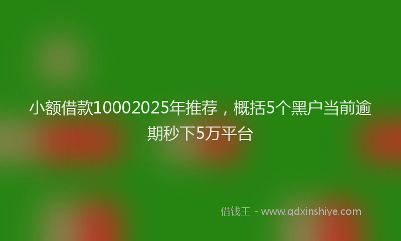 小额借款10002025年推荐，概括5个黑户当前逾期秒下5万平台