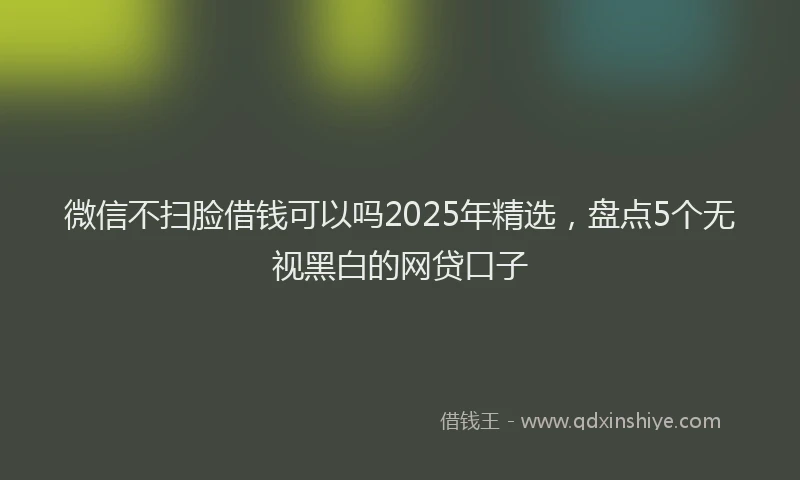 微信不扫脸借钱可以吗2025年精选，盘点5个无视黑白的网贷口子