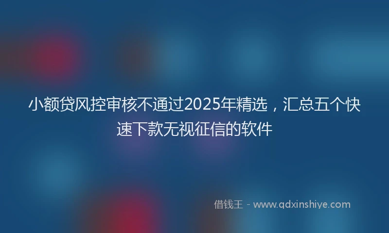 小额贷风控审核不通过2025年精选，汇总五个快速下款无视征信的软件