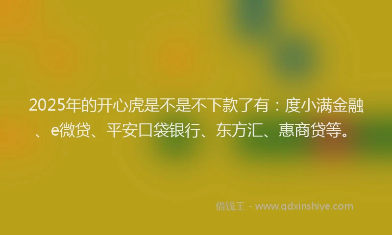 2025年的开心虎是不是不下款了有：度小满金融、e微贷、平安口袋银行、东方汇、惠商贷等。
