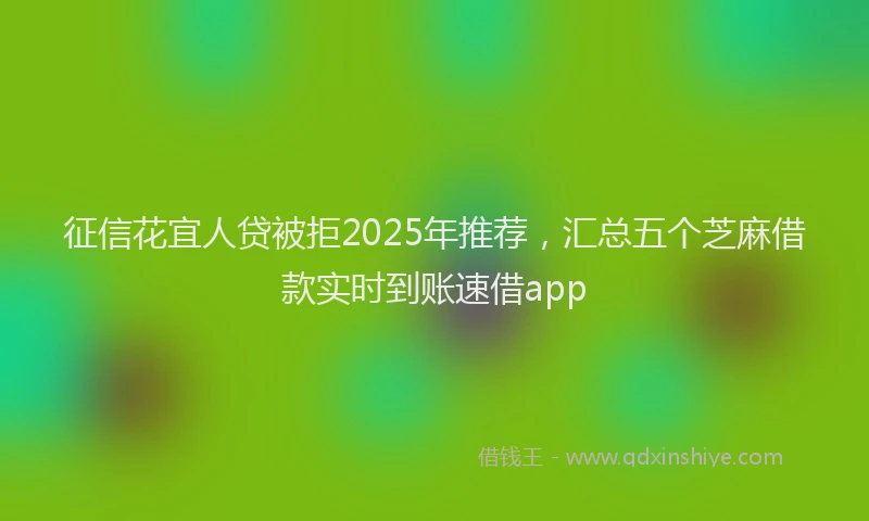征信花宜人贷被拒2025年推荐，汇总五个芝麻借款实时到账速借app