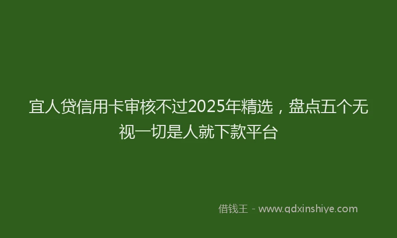 宜人贷信用卡审核不过2025年精选，盘点五个无视一切是人就下款平台